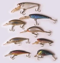  Shad Rapala